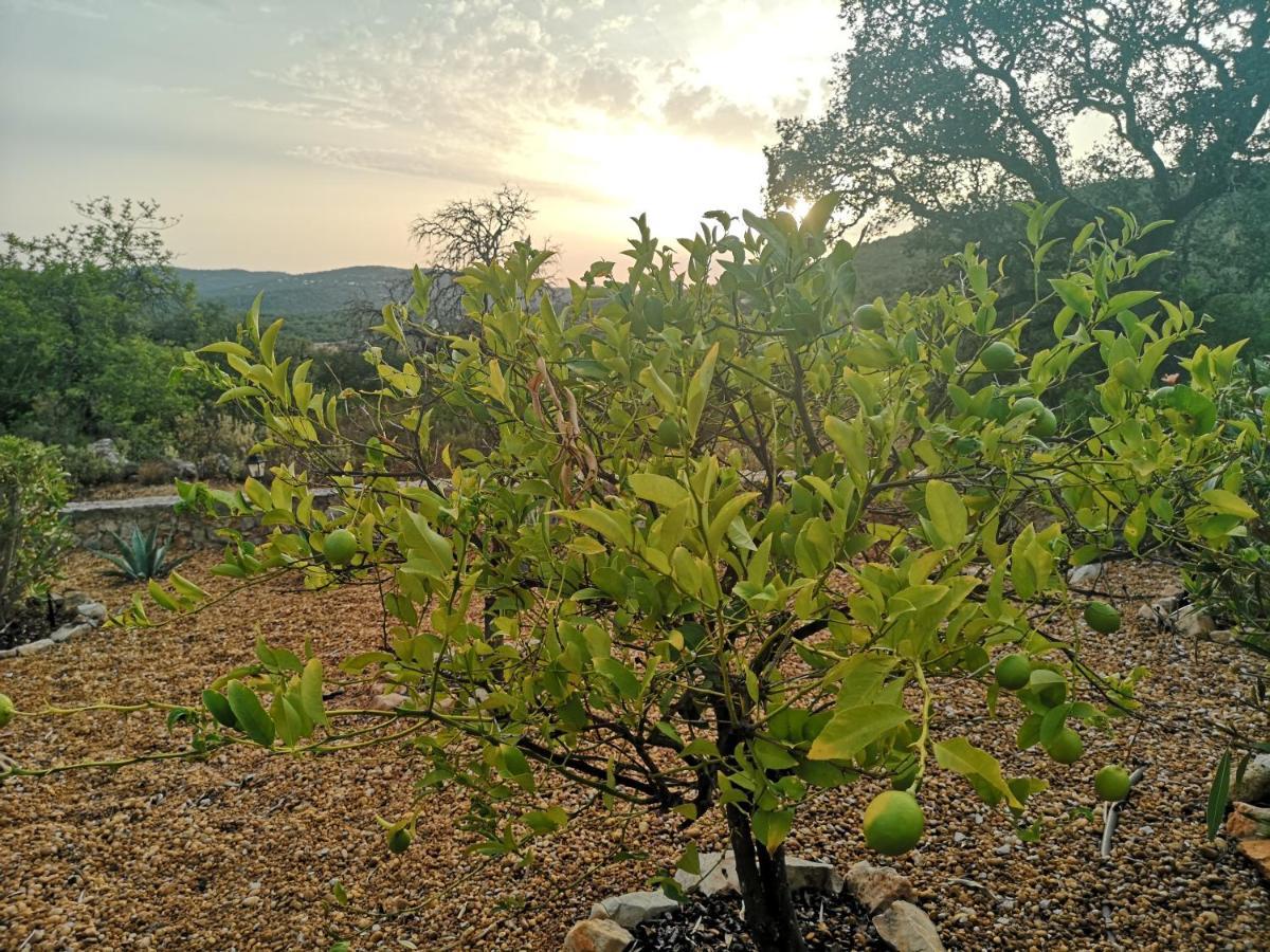 Quinta Da Familia Bed & Breakfast Loule Bagian luar foto
